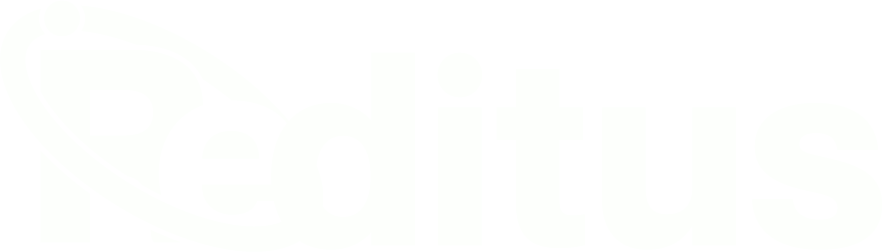 What Does Reditus Space Inc. Do? - Company Overview