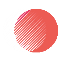 What Does JS Devloper Do?
