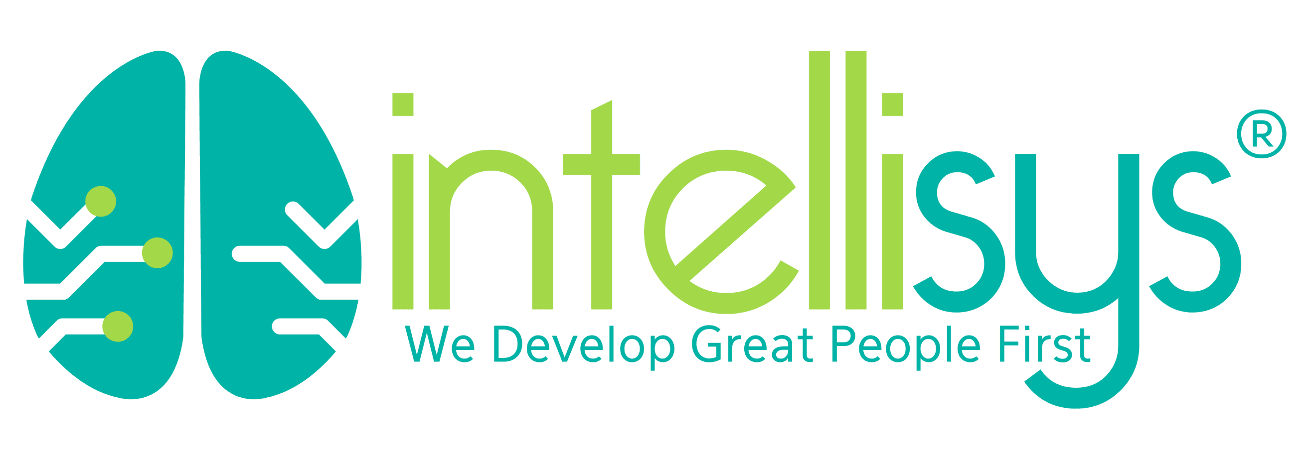What Does Intellisys D. Corp. Do?