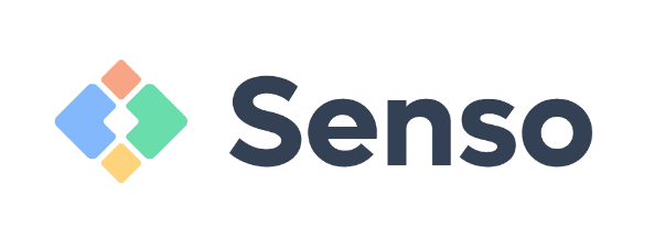 What Does Senso Do? - Company Overview