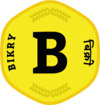 What Does Bikry Do? No-Code E-Commerce for Indian SMBs