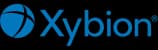 What Does Xybion Digital Do?