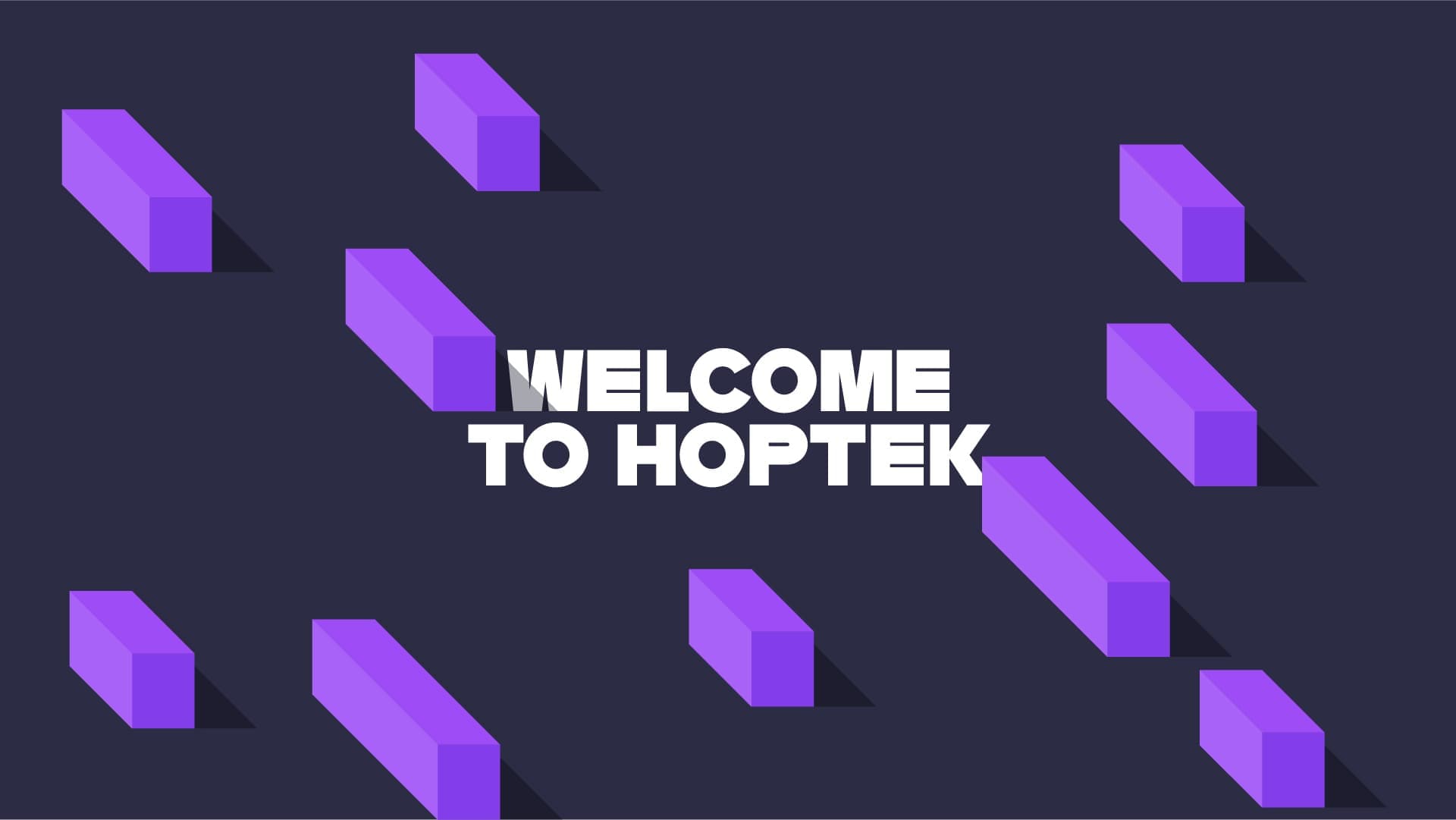 What Does HOPTEK Do?