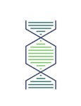 What Does Yemaachi Biotechnology Do?