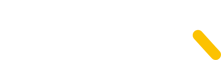 What Does DevIQ Do?