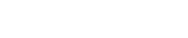 What Does bvoip Do?