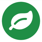 What Does Rainforest Do? No-Code End-to-End QA Testing Explained