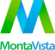 What Does MontaVista Software Do?