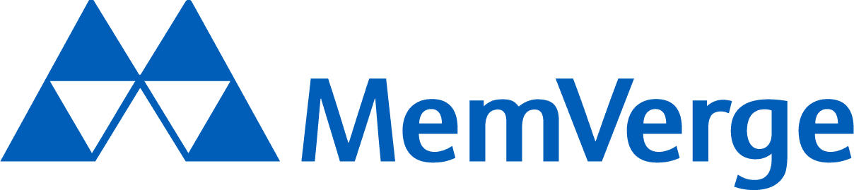 What Does MemVerge Do?