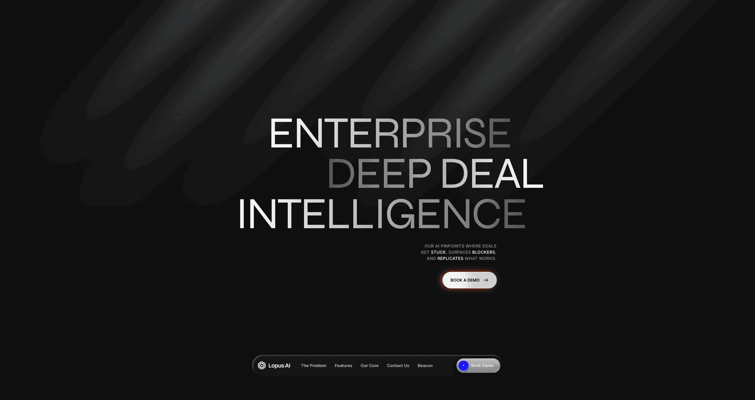 What Does Lopus AI Do? - Company Overview