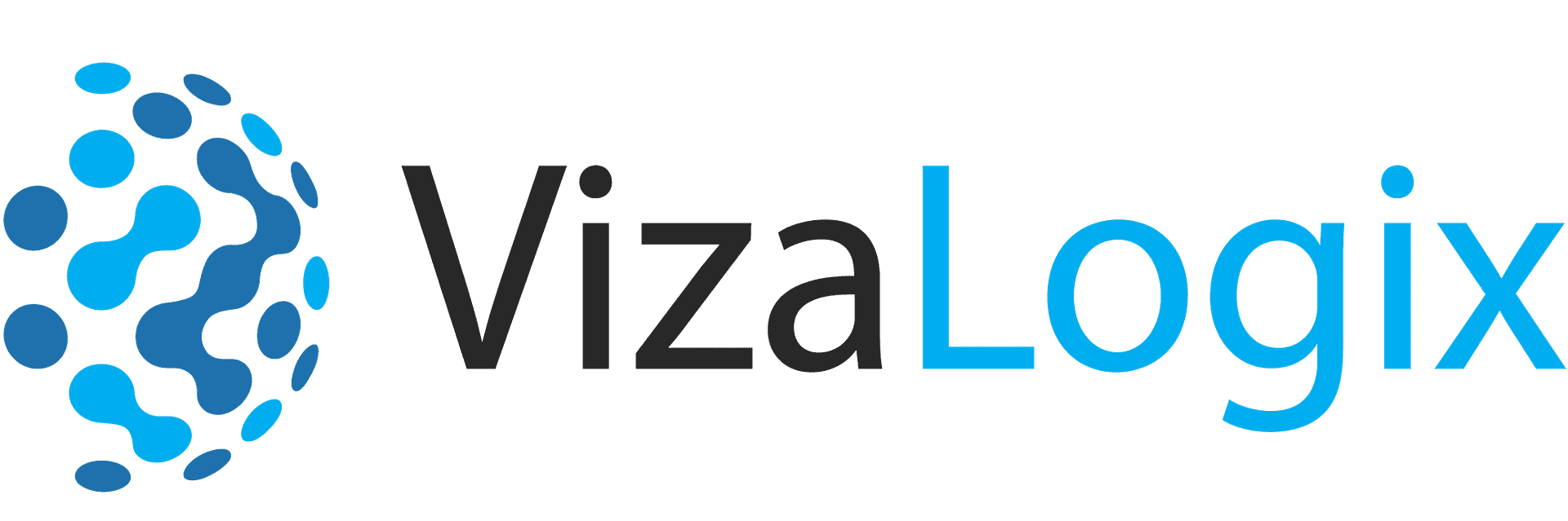 What Does VizaLogix Do?