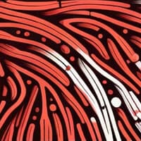 What Does Piramidal Inc. Do? - Company Overview