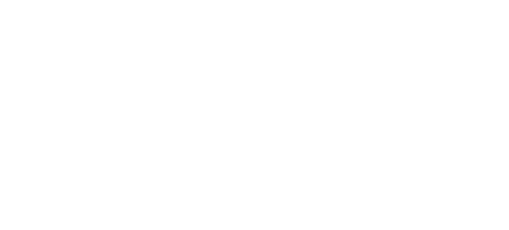 What Does Visit.org Do?