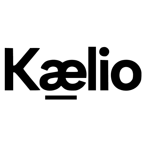 What Does Kaelio Do? - Company Overview