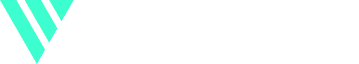 What Does Videowise Do?