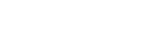 What Does Coalesce.io Do?