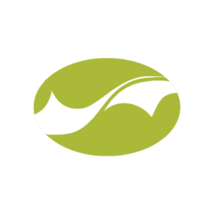 What Does ICM Document Solutions Do?
