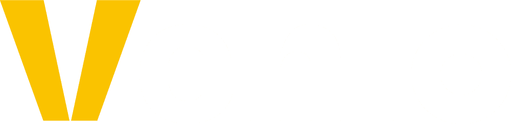 What Does Vehlo Do?
