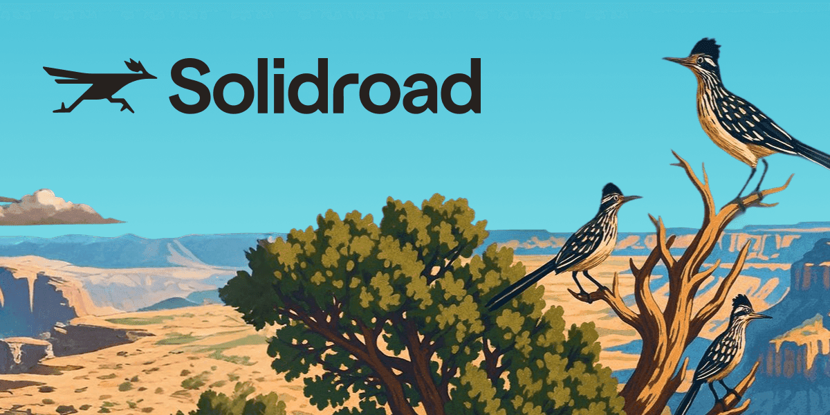 What Does Solidroad Do? - Company Overview